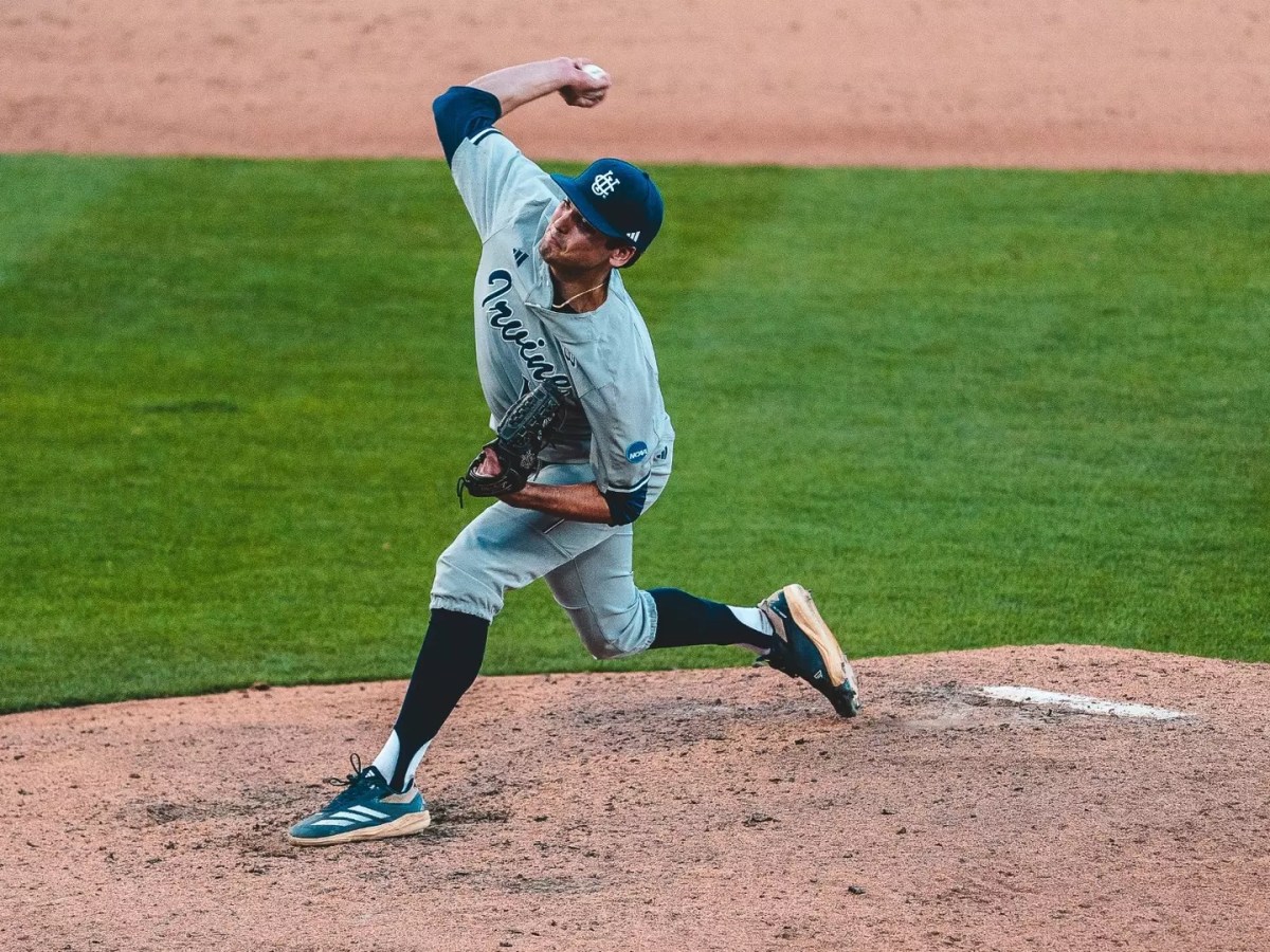 What We All Got Wrong About the&nbsp;Anteaters